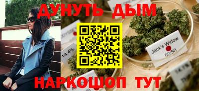 сатива Каменск-Шахтинский