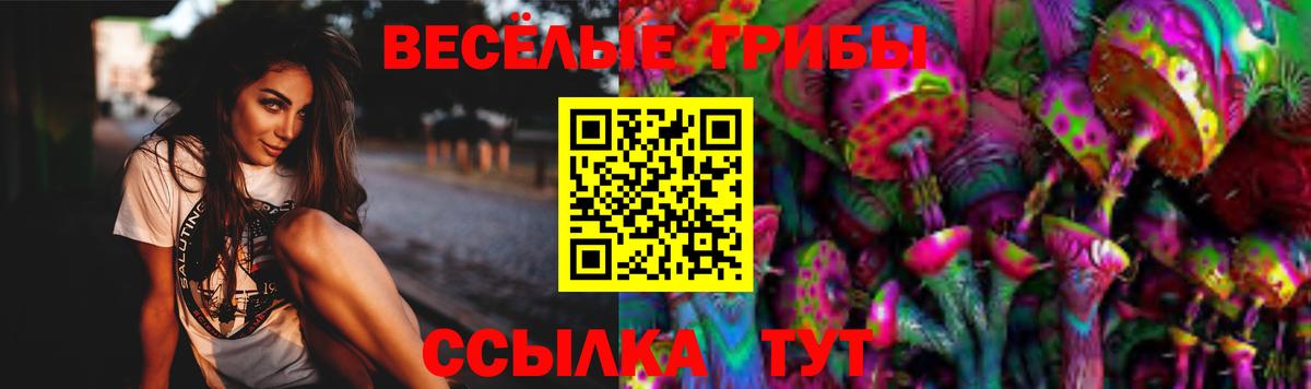 Брянск  Псилоцибиновые грибы ЛСД  Вход с VPN  Галлюциногенные грибы Psilocybe 